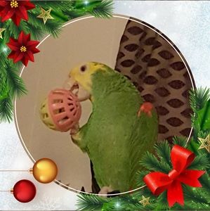 Meet your Posher, Sy